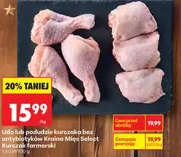 Biedronka Udo lub podudzie kurczaka bez antybiotyków Kraina Mięs Select Kurczak farmerski oferta