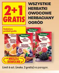 Biedronka Herbatki owocowe Herbaciany Ogród (różne rodzaje, np. Malina, Śliwka, Prosto z Krzaka) oferta
