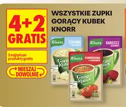 Biedronka Zupki Gorący Kubek Knorr oferta