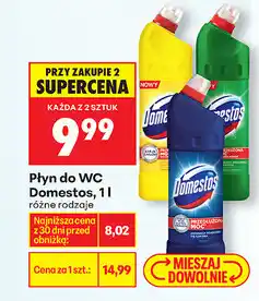 Biedronka Płyn do WC Domestos, 1 l, różne rodzaje oferta