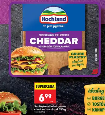 Biedronka Ser topiony do burgerów cheddar Hochland, 150 g oferta