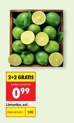 Biedronka Limonka oferta