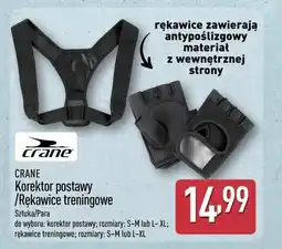 ALDI Korektor postawy / Rękawice treningowe oferta
