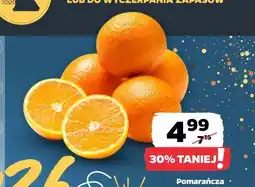 Netto Pomarańcza luz oferta