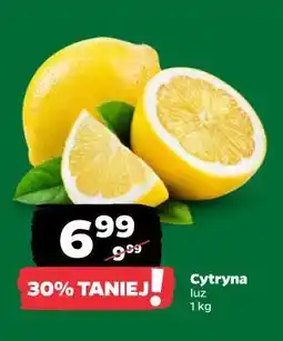 Netto Cytryna luz oferta