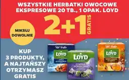 Netto Loyd Herbatki owocowe ekspresowe 20 tb oferta