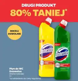 Netto Domestos płyn do WC oferta