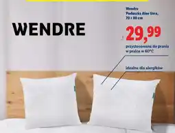 Lidl WENDRE Poduszka Aloe Vera oferta