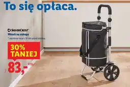 Lidl Wózek na zakupy oferta