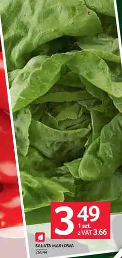 Selgros Sałata masłowa oferta