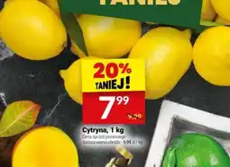Twój Market Cytryna oferta