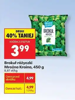 Biedronka Brokuł różyczki Mroźna Kraina, 450 g oferta