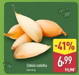 ALDI Cebula szalotka oferta