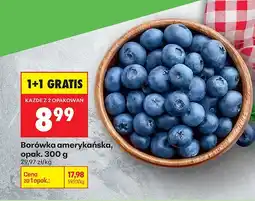Biedronka Borówka amerykańska oferta