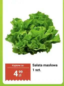 Biedronka Sałata masłowa oferta