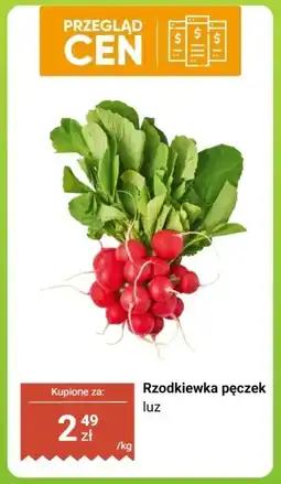 Biedronka Rzodkiewka pęczek luz oferta
