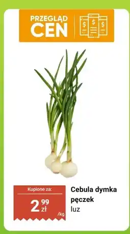 Biedronka Cebula dymka pęczek luz oferta