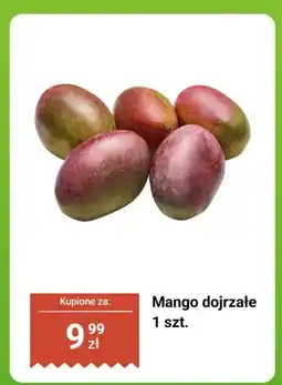 Biedronka Mango dojrzałe 1 szt oferta