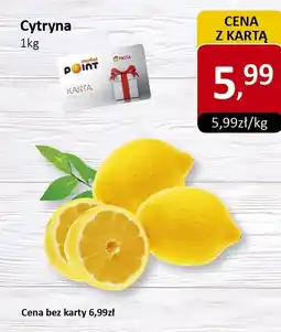 Market Point Cytryna oferta