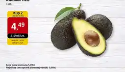 Market Point Awokado Hass oferta