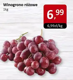 Market Point Winogrono różowe oferta