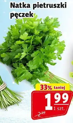 Prim Market Natka pietruszki pęczek oferta