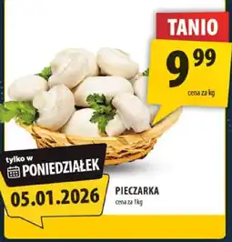 Arhelan Pieczarka oferta