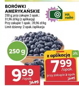 Stokrotka Borówki amerykańskie oferta