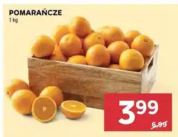 Stokrotka Pomarańcze oferta