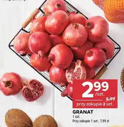 Stokrotka Granat 1szt oferta