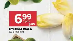 Stokrotka Cykoria biała oferta