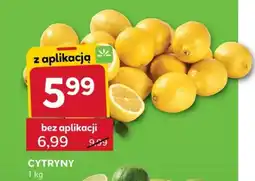 Stokrotka Express Cytryny oferta