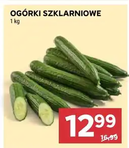 Stokrotka Ogórki szklarniowe oferta