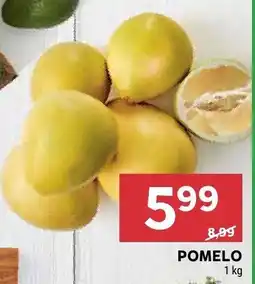 Stokrotka Pomelo oferta