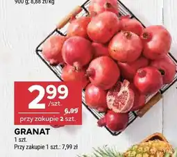 Stokrotka Granat oferta