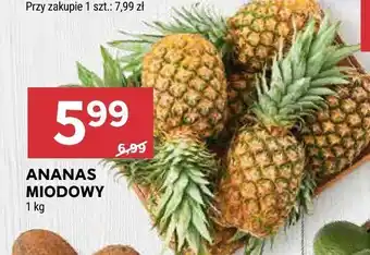 Stokrotka Ananas miodowy oferta