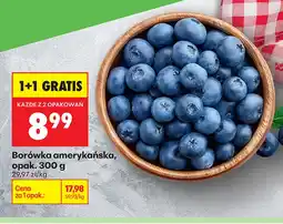 Biedronka Borówka amerykańska K! oferta