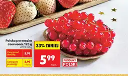 Biedronka Czerwona porzeczka Polski oferta