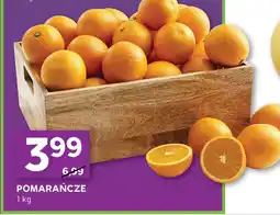 Stokrotka Pomarańcze oferta