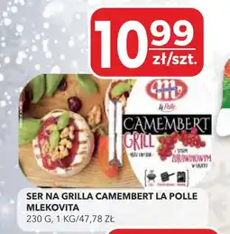 Top Market Ser na grilla camembert la polle mlekovita oferta