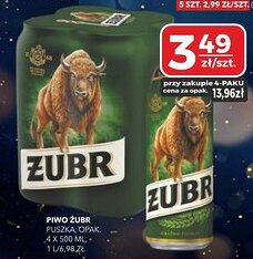 Top Market Piwo żubr oferta