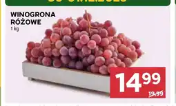 Stokrotka Market Winogrona oferta