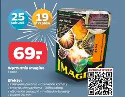 Netto Wyrzutnia fajerwerków Palma oferta