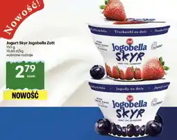 Delikatesy Centrum Skyr Zott oferta