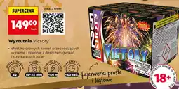 Biedronka Fajerwerki wyrzutnia Hestia oferta