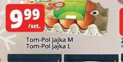 Szyneczka Tom-Pol Jajka oferta