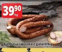 Szyneczka Kiełbasa swojska z galaretką oferta
