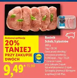 Lidl Schab 5 plastrów oferta