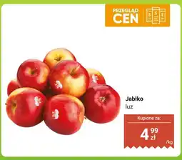 Dino Jabłko luz oferta