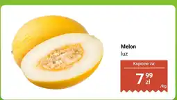 Dino Melon luz oferta